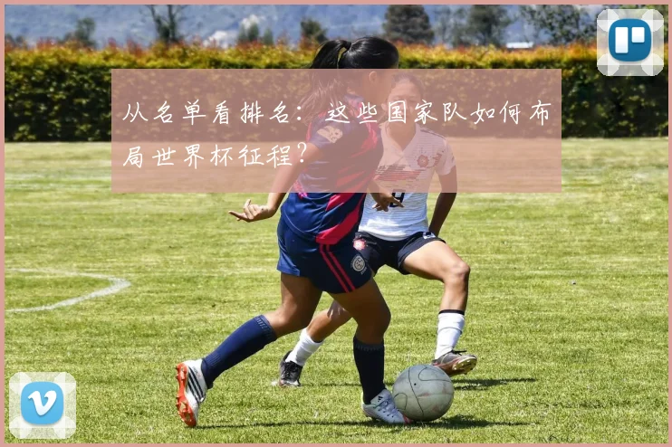 从名单看排名：这些国家队如何布局世界杯征程？