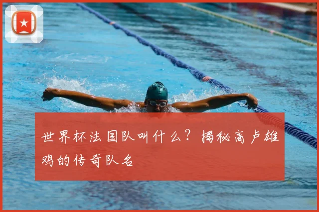 世界杯法国队叫什么？揭秘高卢雄鸡的传奇队名