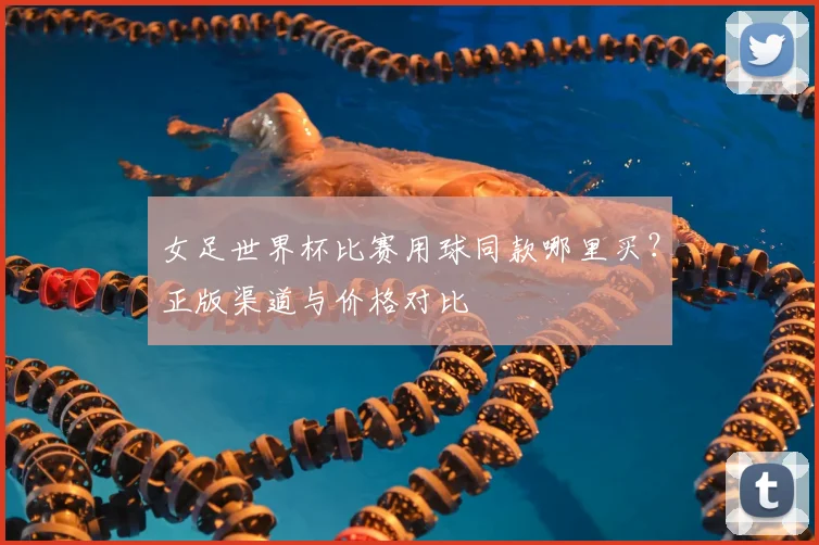 女足世界杯比赛用球同款哪里买？正版渠道与价格对比