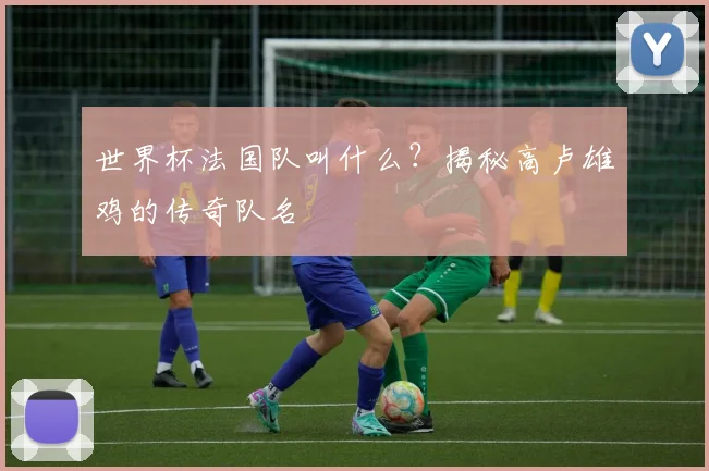 世界杯法国队叫什么？揭秘高卢雄鸡的传奇队名