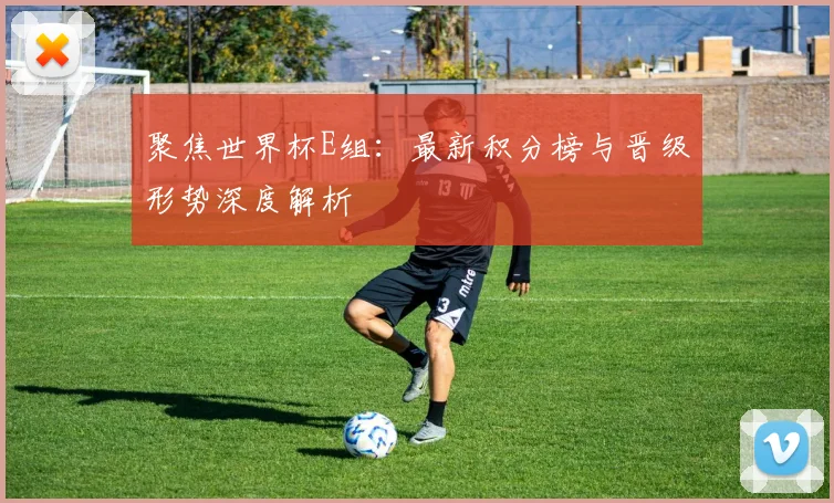 聚焦世界杯E组:最新积分榜与晋级形势深度解析