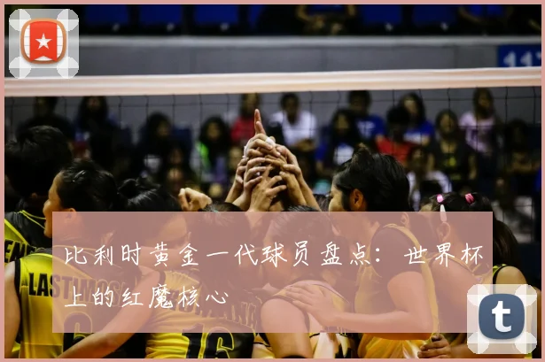 比利时黄金一代球员盘点：世界杯上的红魔核心