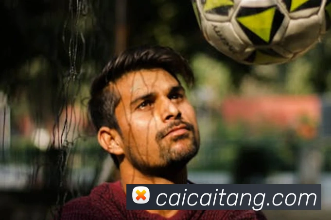 开云线上登录平台入口平台生态图